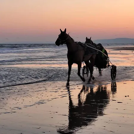 Apartment 2 Avec Balcons Et Parking A - Fr-1-788-36 Cabourg