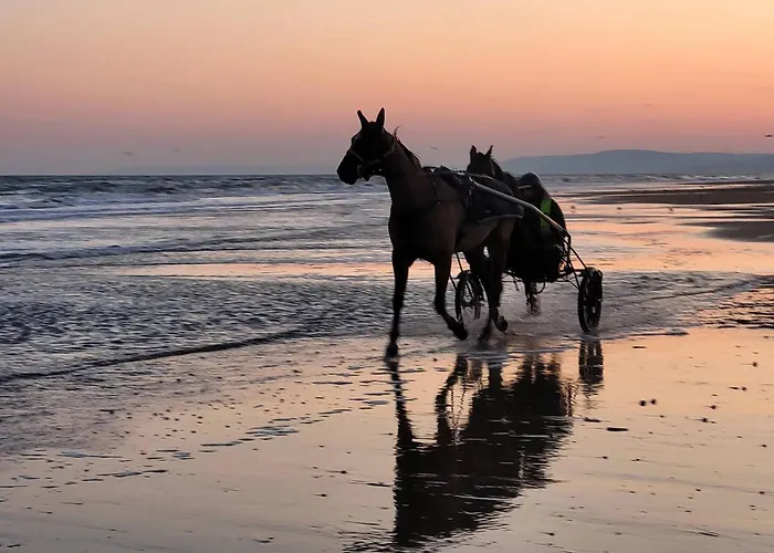 Apartment 2 Avec Balcons Et Parking A - Fr-1-788-36 Cabourg